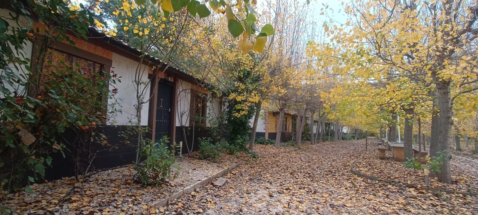 Casas Rurales Vado Del Rio Tus Cortijo Prados Екстериор снимка