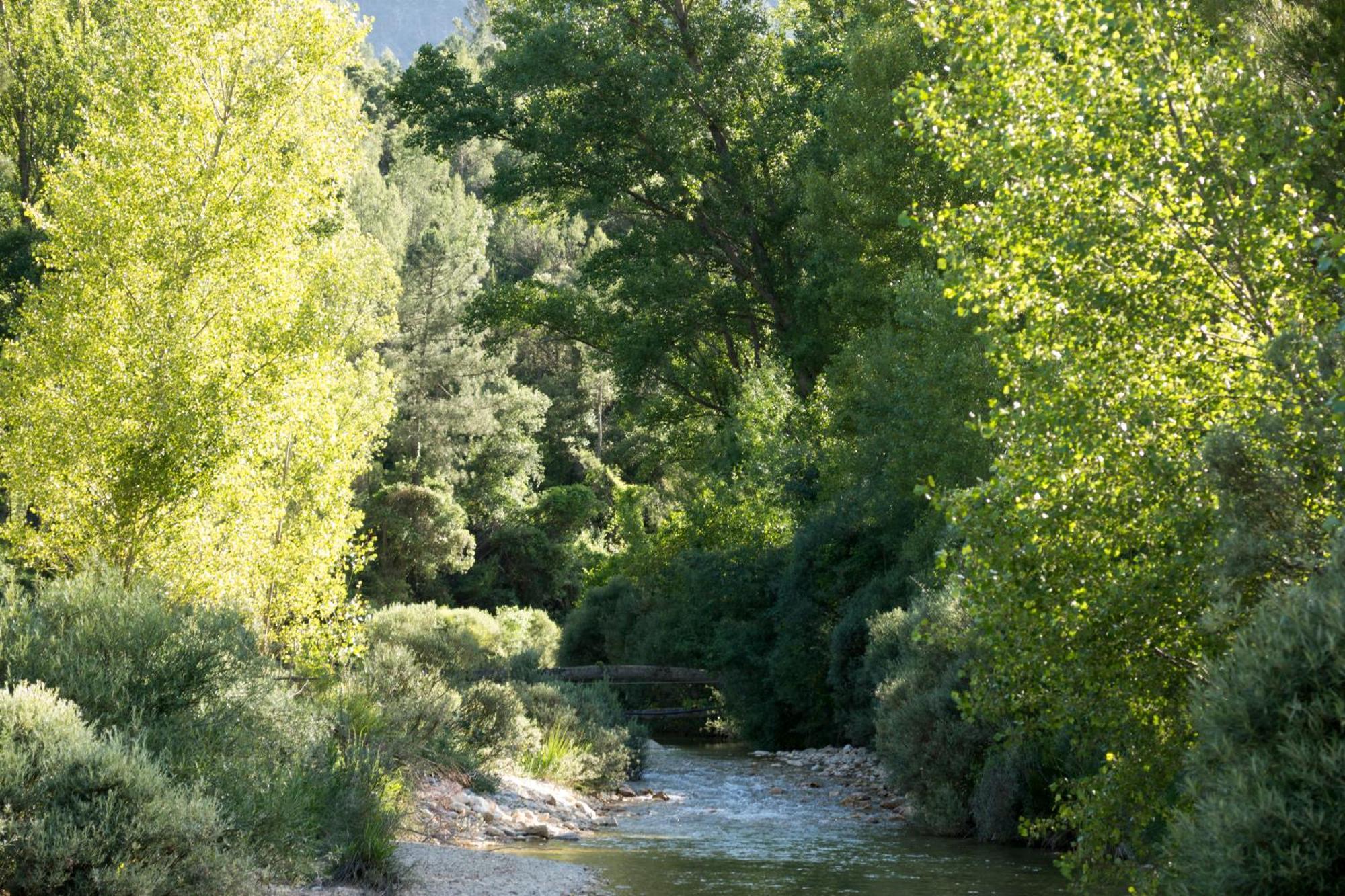 Casas Rurales Vado Del Rio Tus Cortijo Prados Екстериор снимка
