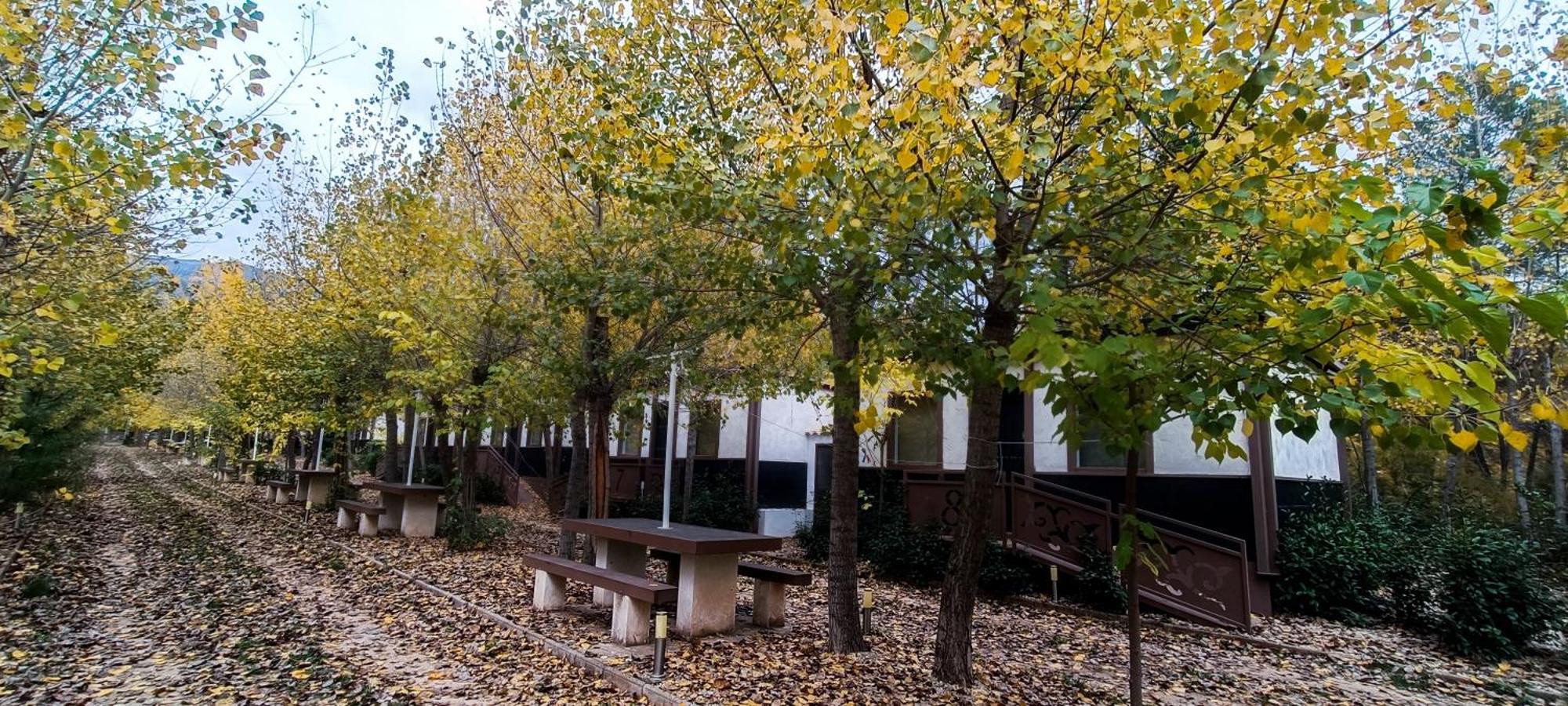 Casas Rurales Vado Del Rio Tus Cortijo Prados Екстериор снимка